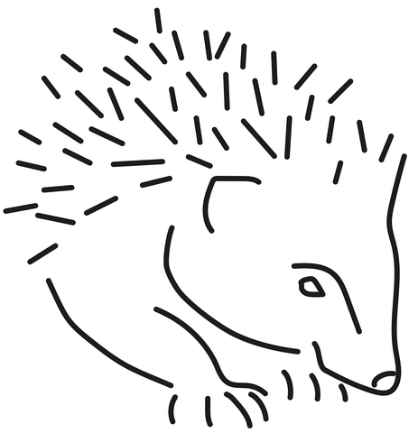 Erinaceus Europaeus Coloring Page